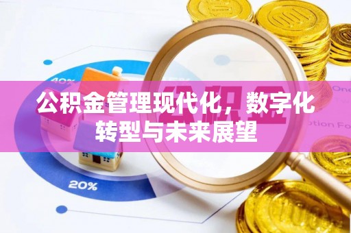 隰县公积金管理现代化，数字化转型与未来展望