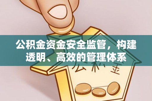 隰县公积金资金安全监管，构建透明、高效的管理体系
