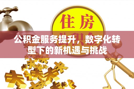 隰县公积金服务提升，数字化转型下的新机遇与挑战